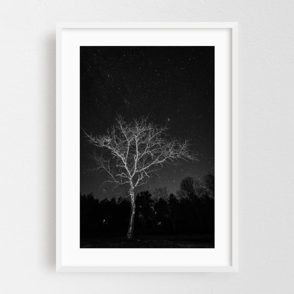 Illuminate B&W - Charlottesville Virginia Photography Black and White Night Sky Stars Nature Space Winter White Framed Wall Art Print 5 x 7 inches
