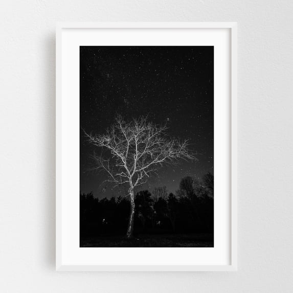 Illuminate B&W - Charlottesville Virginia Photography White Framed Wall Art Print 16 x 24 inches