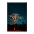 thumbnail image 1 of Illuminate - Charlottesville Virginia Photography Unframed Wall Art Print 8 x 12 inches, 1 of 60