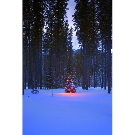 Illuminated Christmas Tree in The Woods Poster Print by Carson Ganci, 22 x 34 - Large
