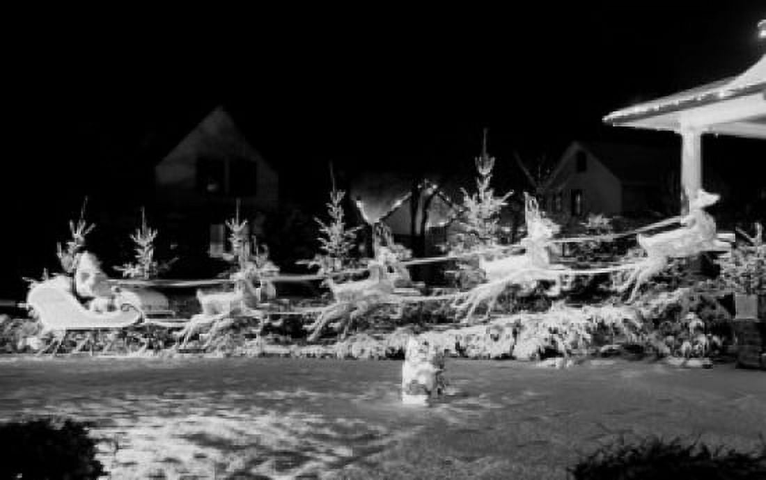 Illuminated Christmas decorations at night Canvas Art - (24 x 36)