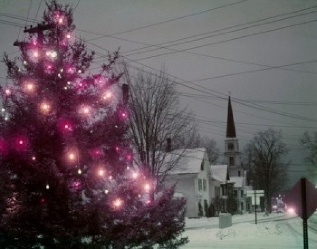 Illuminated Christmas tree in town Canvas Art - (18 x 24)