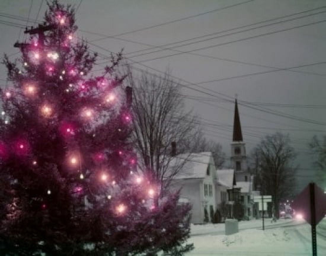 Illuminated Christmas tree in town Canvas Art - (24 x 36)