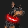 thumbnail image 1 of Illuminated Dog Collar LED Rechargeable, Glow in The Dark Night Walking Safety Light Collar, Adjustable Bright Fiber Optics Flashing Modes for Small Medium Large Dogs Safety, 1 of 6