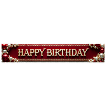 Illuminated Happy Birthday Banner Backdrop Party Decors for Birthday Party Celebrations Photography Props Photo Booth Backgrounds