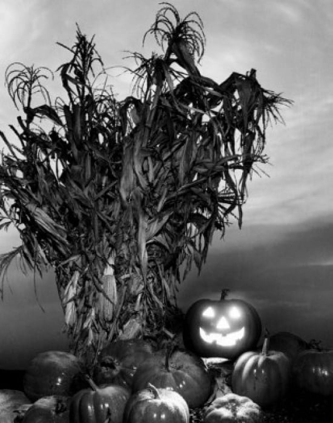 Illuminated jack o lantern with pumpkins and corn stalks Canvas Art - (24 x 36)