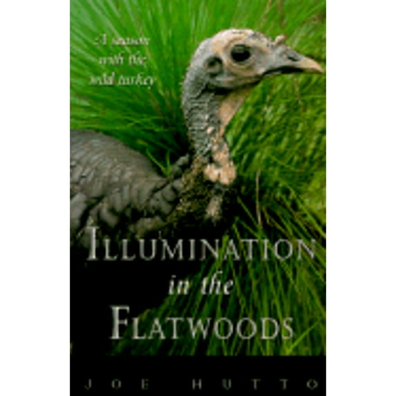 Pre-Owned Illumination in the Flatwoods: A Season With the Wild Turkey (Hardcover) 1558213902 9781558213906