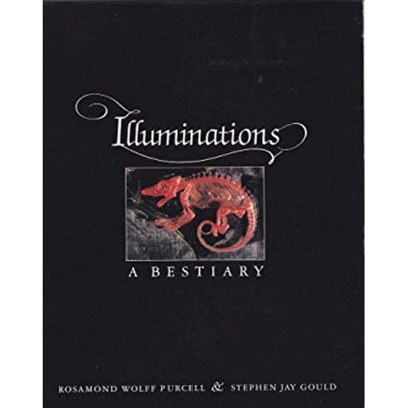 Pre-Owned Illuminations: A bestiary (Hardcover) 0393023745 9780393023749