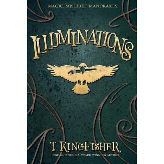 Pre-Owned Illuminations (Paperback) 1614505772 9781614505778