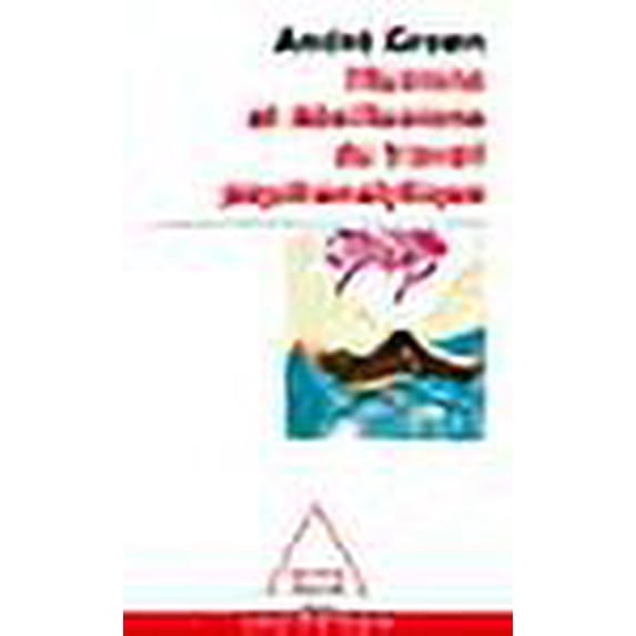 Illusions ET Desillusions Du Travail Psychanalytique (French Edition)