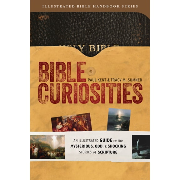 Illustrated Bible Handbook Series: Bible Curiosities : An Illustrated Guide to the Mysterious, Odd, and Shocking Stories of Scripture (Paperback)
