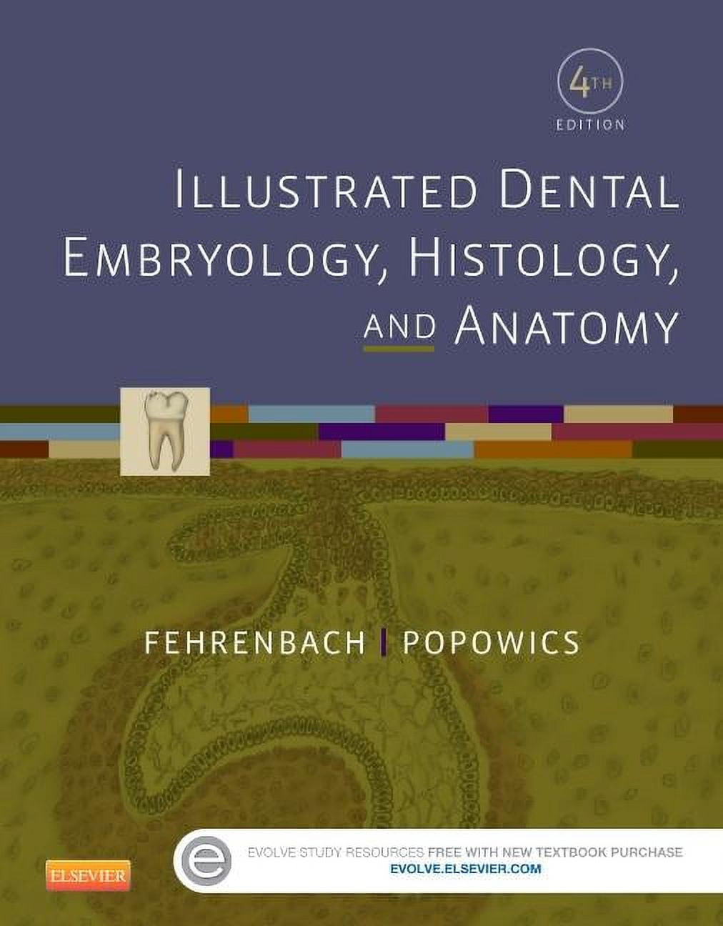 Illustrated Dental Embryology, Histology, and Anatomy (Paperback)
