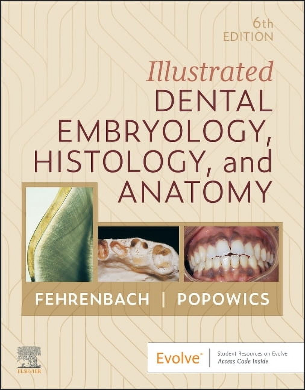 Illustrated Dental Embryology, Histology, and Anatomy, (Paperback)
