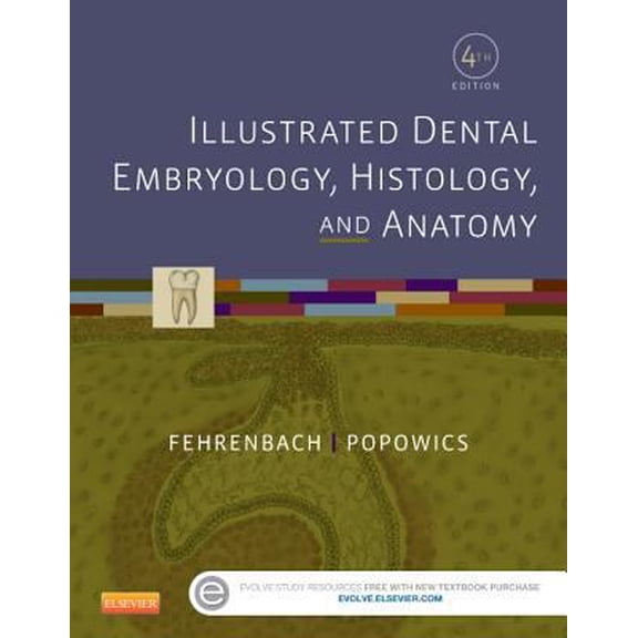 Pre-Owned Illustrated Dental Embryology, Histology, and Anatomy, 4e, 9781455776856, 1455776858, Paperback, 4 edition