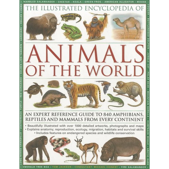 Pre-Owned The Illustrated Encyclopedia of Animals of the World: An Expert Reference Guide to 840 Amphibians, Reptiles and Mammals , (Paperback)