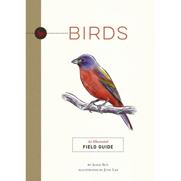 Illustrated Field Guides Birds: An Illustrated Field Guide, (Paperback)