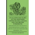 thumbnail image 1 of An Illustrated Flora Of The Northern United States, Canada And The British Possessions - From Newfoundland To The Parall, (Paperback), 1 of 1