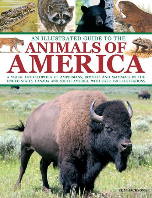 An Illustrated Guide To The Animals of America : A visual encyclopedia ...