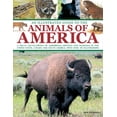 thumbnail image 1 of An Illustrated Guide To The Animals of America : A visual encyclopedia of amphibians, reptiles and mammals in the United States, Canada and South America, with over 350 illustrations (Paperback), 1 of 1