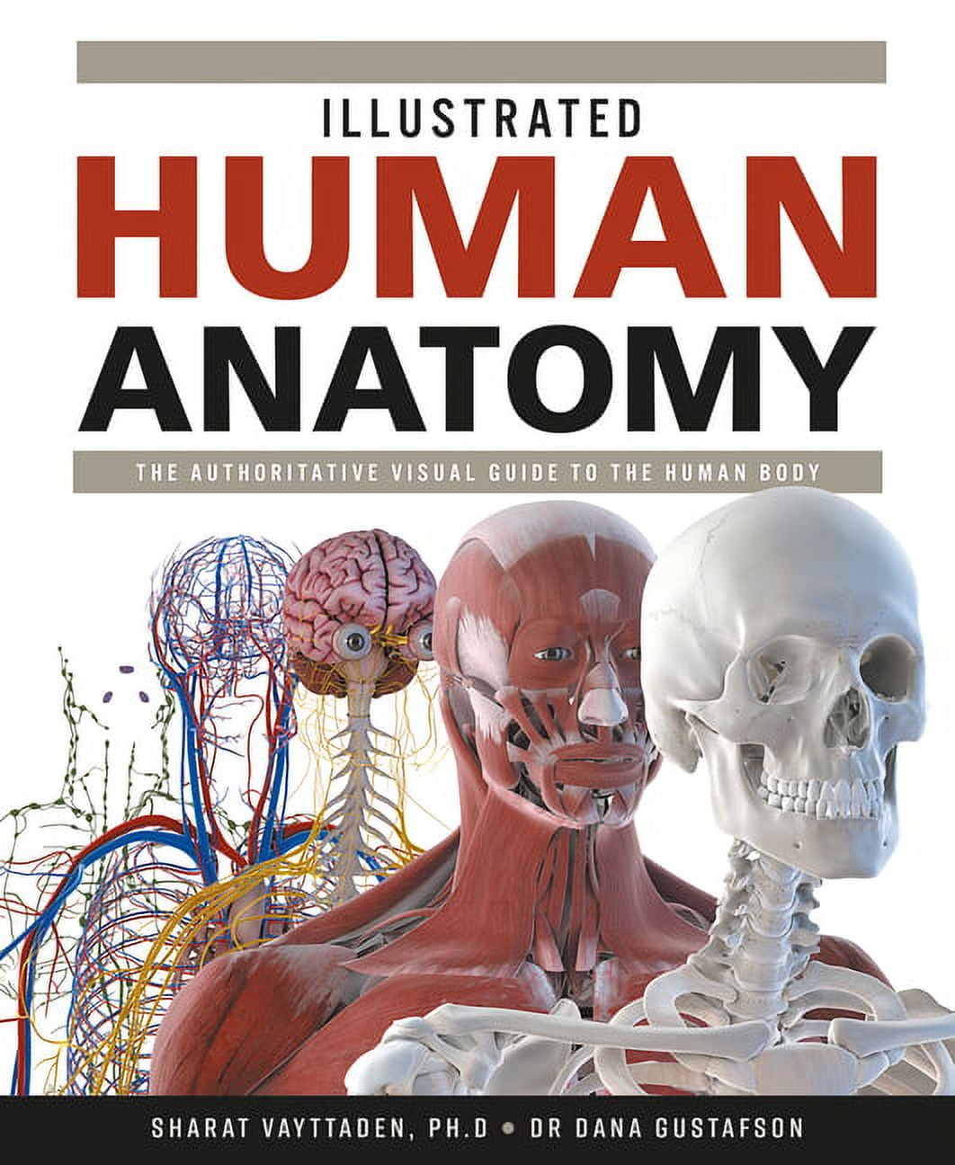 Illustrated Human Anatomy The Authoritative Visual Guide to the Human Biology Diagrams