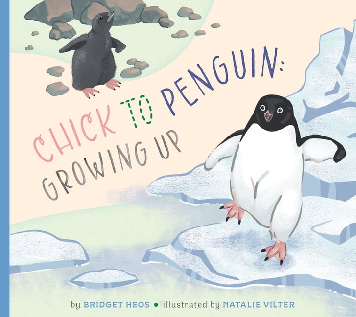 Illustrated Life Cycles Chick to Penguin: Growing Up, (Hardcover)