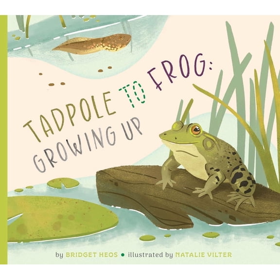 Illustrated Life Cycles Tadpole to Frog: Growing Up, (Hardcover)