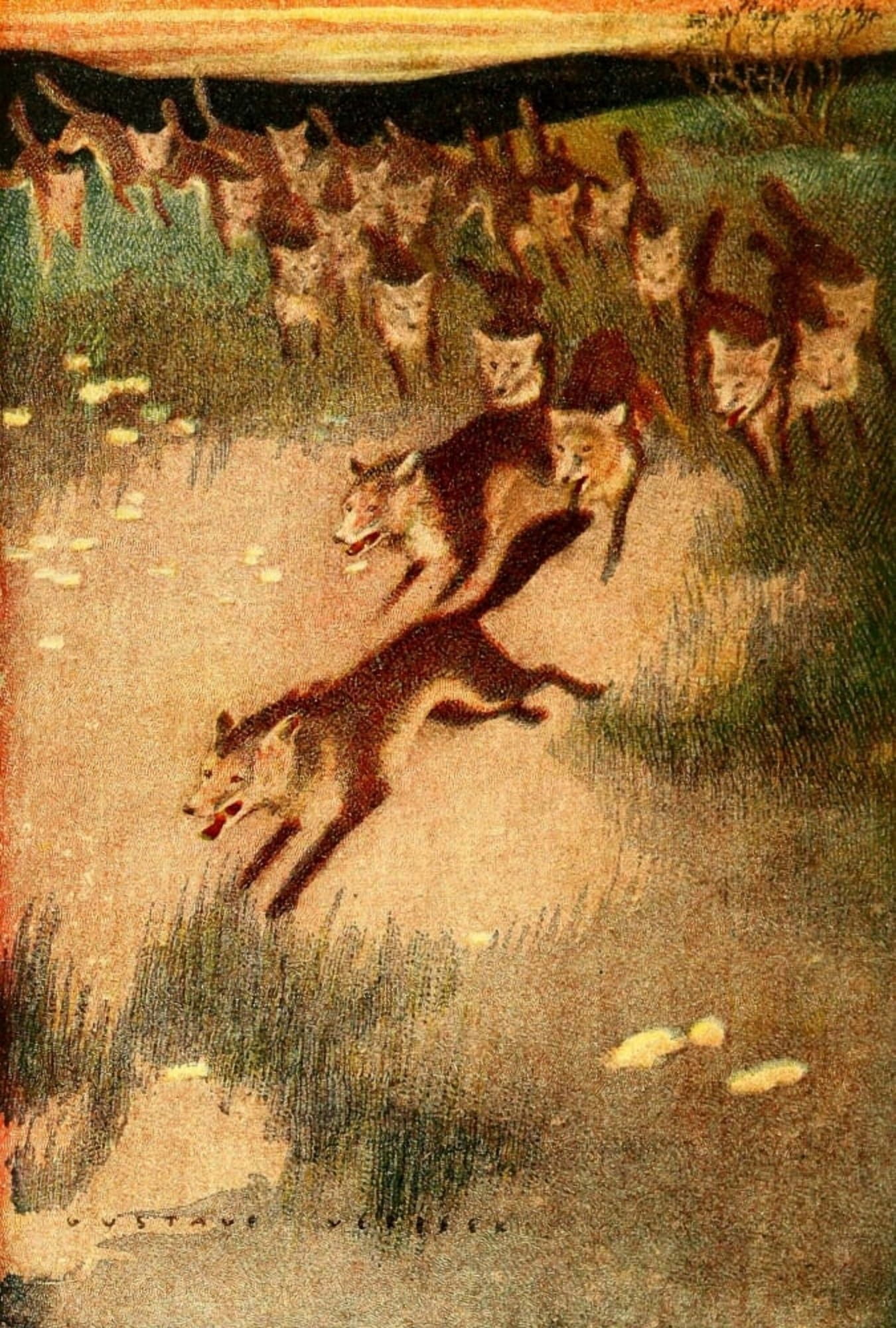 Illustrated Natural History 1897 Jackals hunting Canvas Art - Gustave Verbeek (18 x 24)