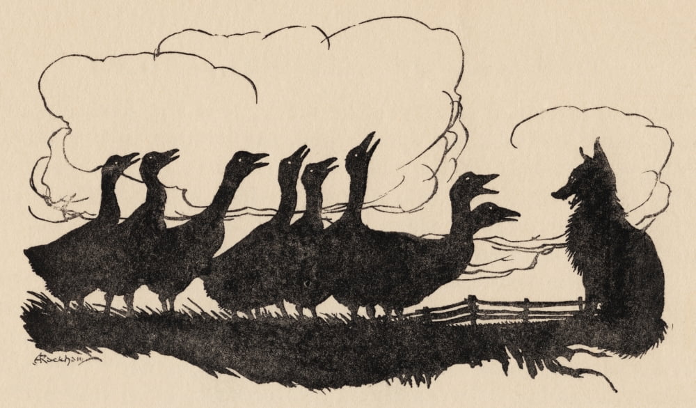 Illustration By Arthur Rackham From Grimms Fairy Tale The Fox And The Geese Canvas Art - Ken Welsh Design Pics (20 x 11)