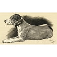thumbnail image 1 of Illustration By Cecil Aldin, A Terrier Poster Print By Mary Evans Picture Library (36 X 24), 1 of 3