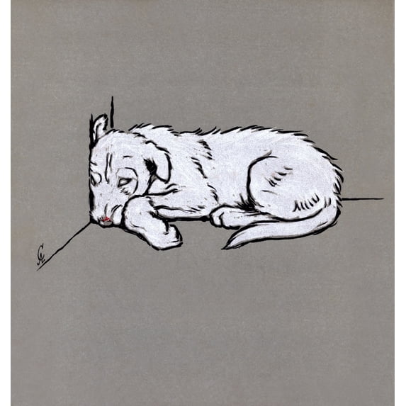 Illustration By Cecil Aldin The White Puppy Book Poster Print By Mary Evans Picture Library
