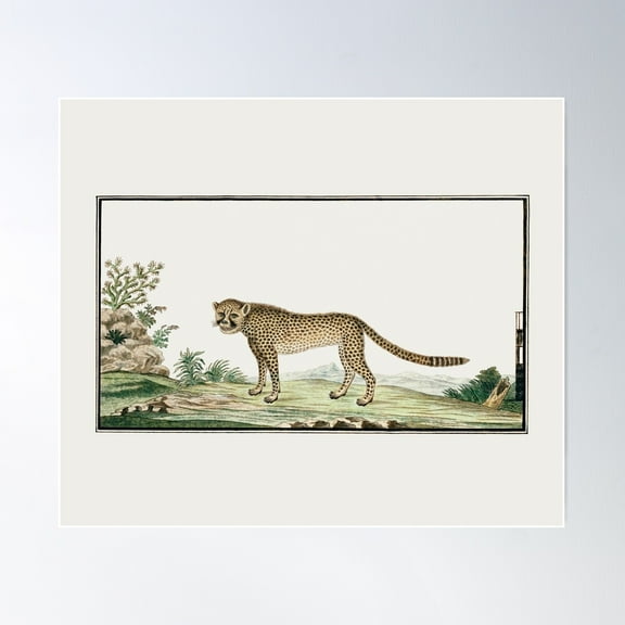 Illustration Of A Cheetah Vintage Art Poster Wall Art, Modern Wall Decor For Living Room Bedroom, 8x12 UNFRAMED