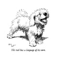 thumbnail image 1 of Illustration Of A Sealyham Terrier By Cecil Aldin Poster Print By Mary Evans Picture Library, 1 of 3