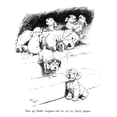 thumbnail image 1 of Illustration Of A Sealyham Terrier Litter By Cecil Aldin Poster Print By Mary Evans Picture Library, 1 of 4