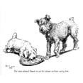 thumbnail image 1 of Illustration Of A Sealyham Terrier Puppy By Cecil Aldin Poster Print By Mary Evans Picture Library, 1 of 4