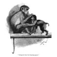 thumbnail image 1 of Illustration, Two Monkeys In A Zoo Poster Print By Mary Evans Picture Library (24 X 36), 1 of 4