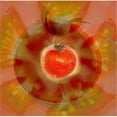 thumbnail image 1 of Illustration of Tomato Poster Print by Cam Wilson, 15 x 15, 1 of 1