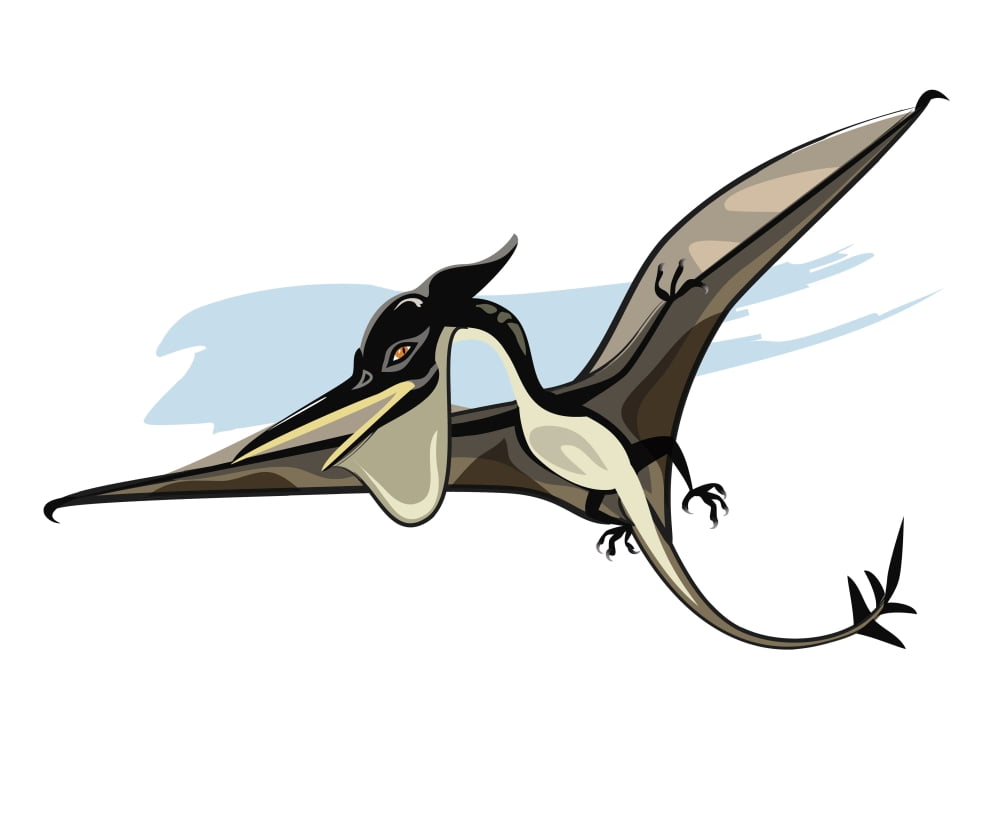 Illustration of a Pteranodon dinosaur Canvas Art - Stocktrek Images (32 x 26)