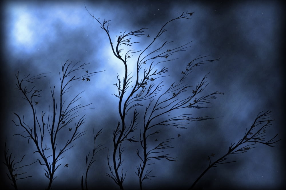 Illustration of a severe storm Canvas Art - Vlad GerasimovStocktrek Images (18 x 12)