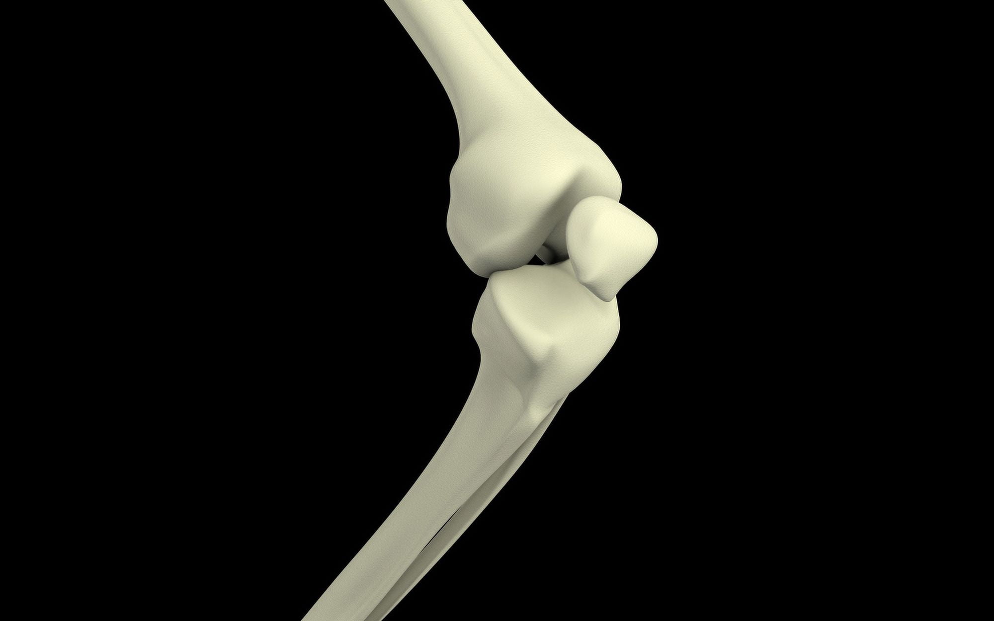 Illustration of knee bone bending Canvas Art - Stocktrek Images (18 x 12)