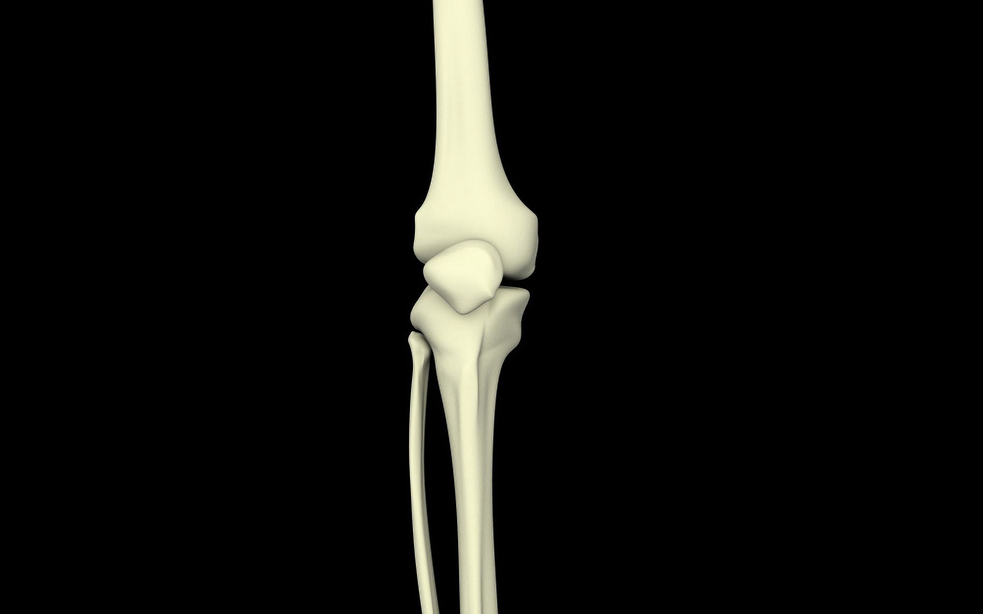 Illustration of knee bone straight Canvas Art - Stocktrek Images (18 x 12)