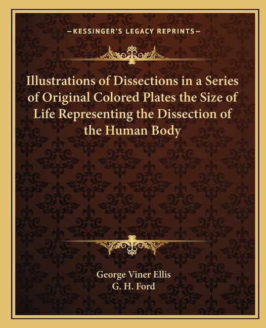 Human Dissection Underline Illustrations of Dissections in a Series of Original Colored Plates the ...