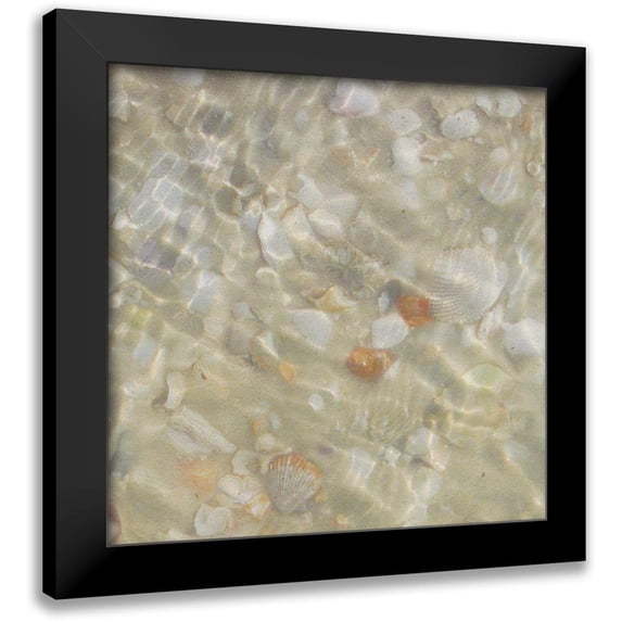 Ilosky, Pam 12x12 Black Modern Framed Museum Art Print Titled - Shell Squares II