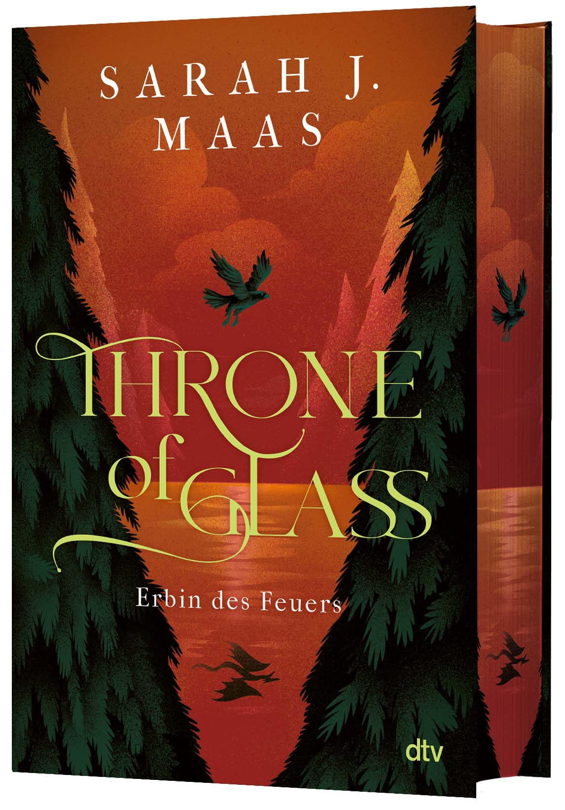 Ilse Layer,Sara Throne of Glass Erbin des Feuers: Limitierte Sonderausgabe mit We (Hardcover)