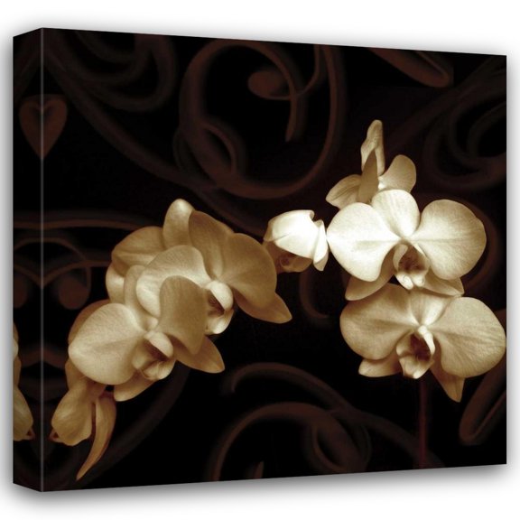 Ily Szilagyi 15x15 Gallery Wrapped Canvas Wall Art Titled - Elegance