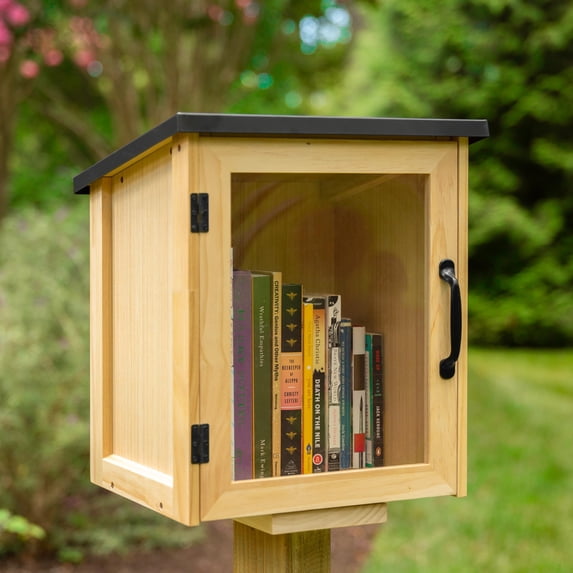 Ilyapa Outdoor Library Book Box - Free Literature Exchange Kit for Outside - Little Wood Cabinet for Sharing Books and Arts - 13x11x16 Inch