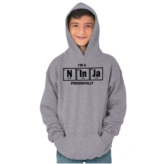 Im A Ninja Periodically Science Nerd Youth Hoodie Boy Girl Teen Brisco Brands L