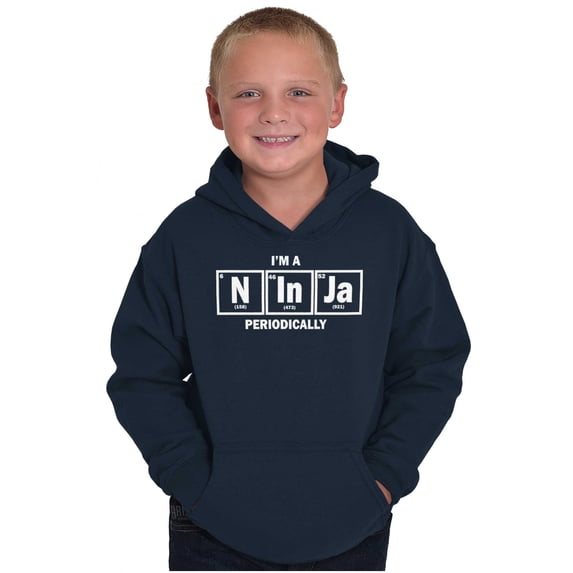 Im A Ninja Periodically Science Nerd Youth Hoodie Boy Girl Teen Brisco Brands S