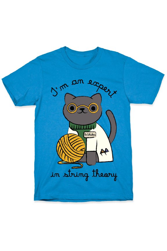 Im An Expert In String Theory Tee Shirt Sweatshirt Hoodie
