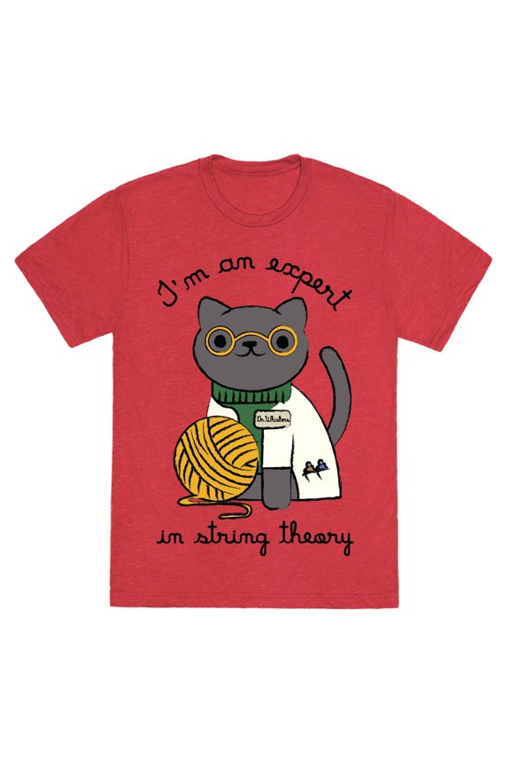 Im An Expert In String Theory Unisex Triblend Tee Tee Shirt Sweatshirt Hoodie