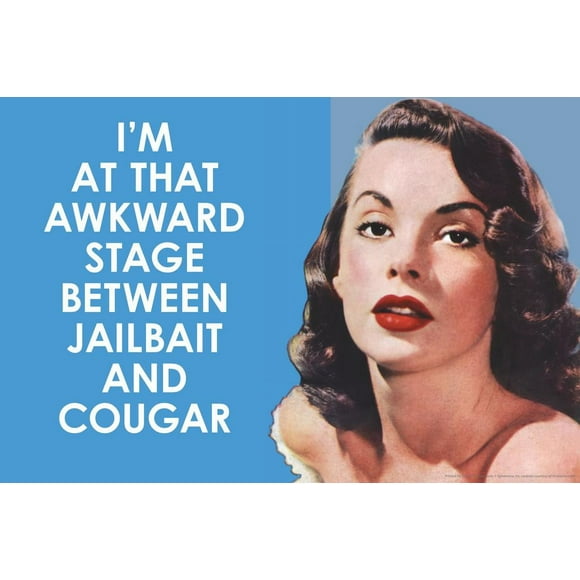 Im At that Awkward Stage Between Jailbait and Cougar Humor Cool Wall Art Print Poster 24x16